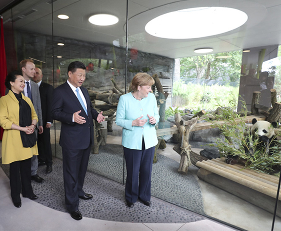 习近平同德国总理默克尔共同出席柏林动物园大熊猫馆开馆仪式 